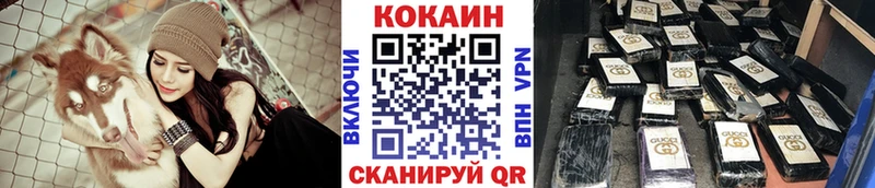 APVP Елизаветинская