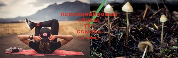 герыч Медвежьегорск