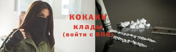 молекула духа Медногорск