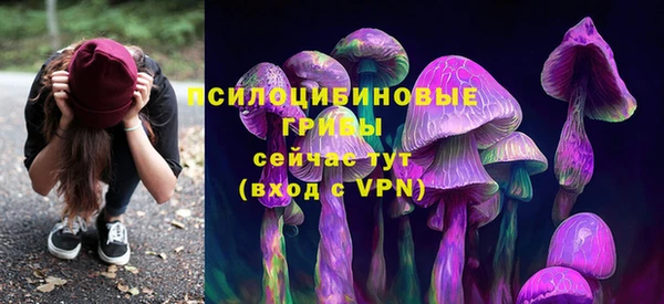 молекула духа Медногорск