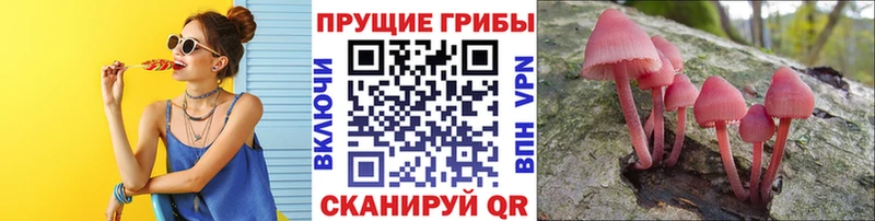ссылка на мегу ссылка  Елизаветинская  Галлюциногенные грибы ЛСД 