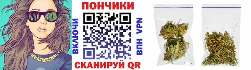 Канабис семена  Елизаветинская 